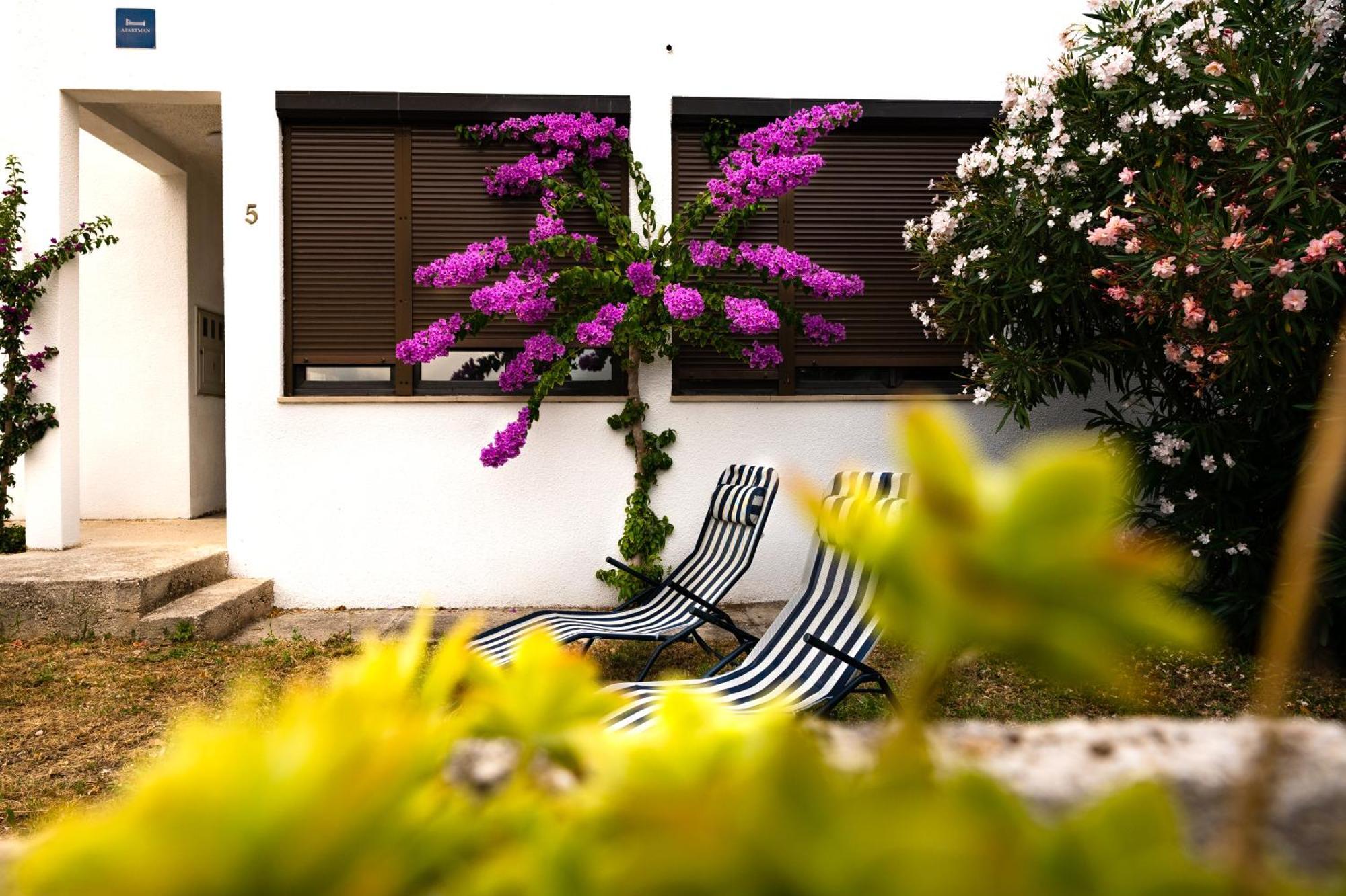 Apartments Dida Sime Starigrad Paklenica Buitenkant foto