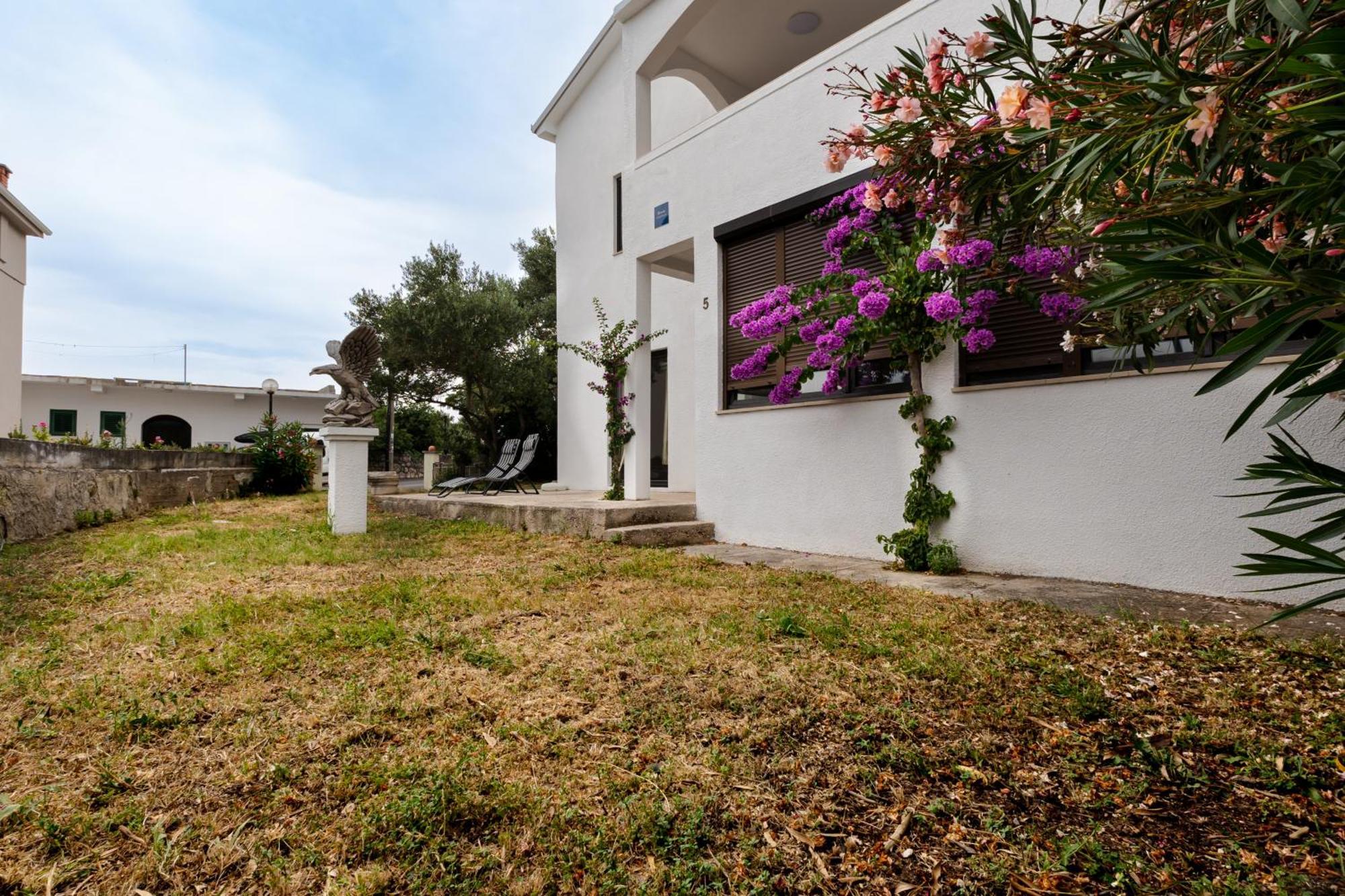 Apartments Dida Sime Starigrad Paklenica Buitenkant foto